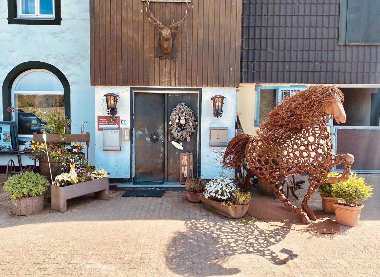 Hof Vierzehnender Im Hohen Venn - 70Qm Maisonette - 2 Schlafzimmer - Wohnkueche - Balkon Mit Grill - Monschau - Eifel - Hunde Willkommen - Islandpferde Eksteriør bilde