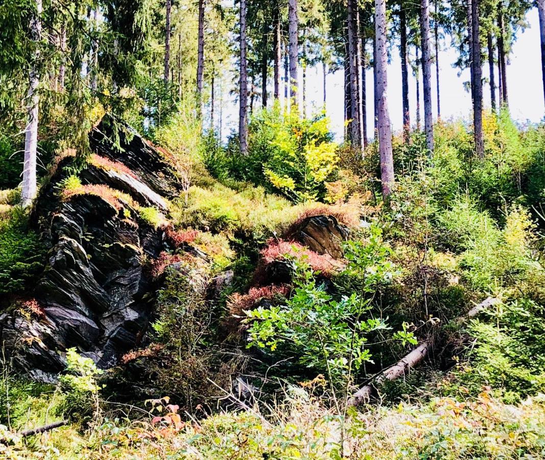 Hof Vierzehnender Im Hohen Venn - 70Qm Maisonette - 2 Schlafzimmer - Wohnkueche - Balkon Mit Grill - Monschau - Eifel - Hunde Willkommen - Islandpferde Eksteriør bilde
