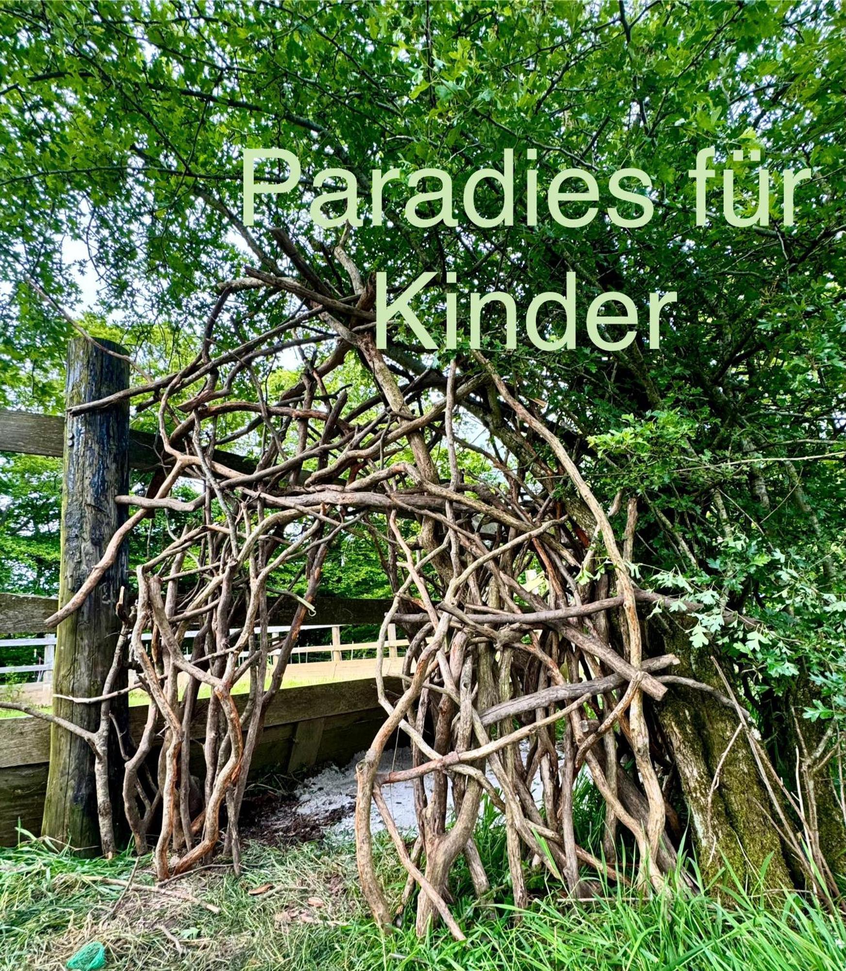 Hof Vierzehnender Im Hohen Venn - 70Qm Maisonette - 2 Schlafzimmer - Wohnkueche - Balkon Mit Grill - Monschau - Eifel - Hunde Willkommen - Islandpferde Eksteriør bilde