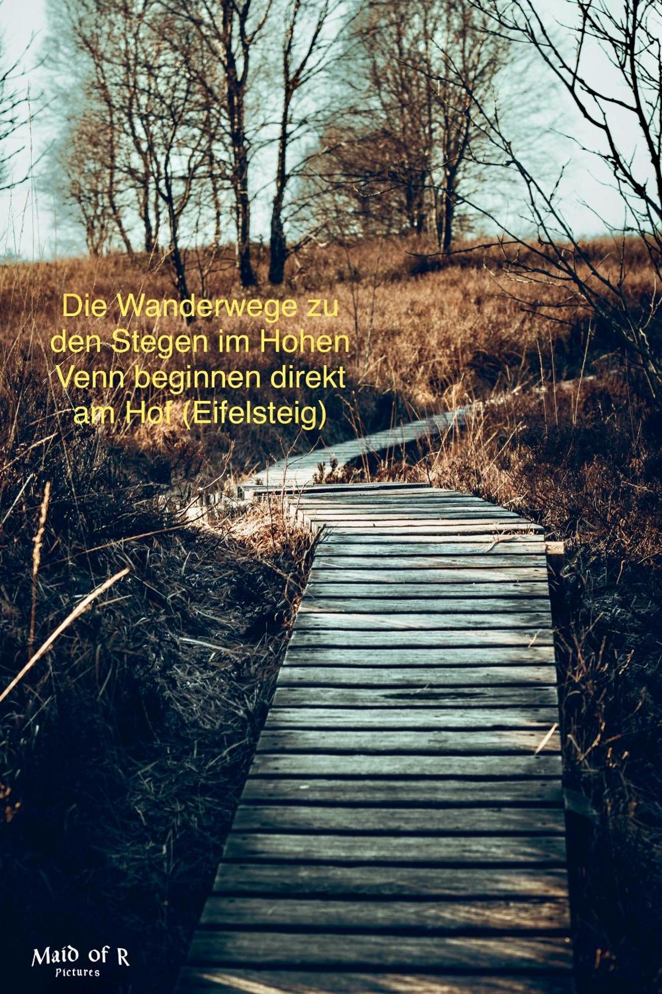 Hof Vierzehnender Im Hohen Venn - 70Qm Maisonette - 2 Schlafzimmer - Wohnkueche - Balkon Mit Grill - Monschau - Eifel - Hunde Willkommen - Islandpferde Eksteriør bilde