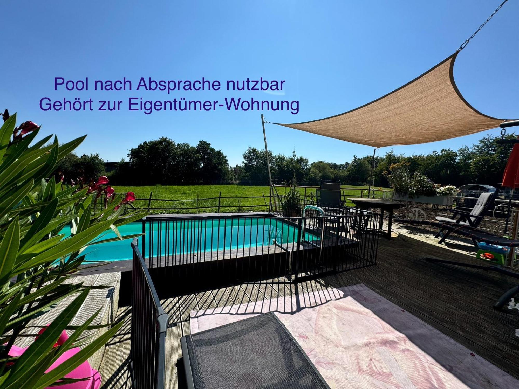 Hof Vierzehnender Im Hohen Venn - 70Qm Maisonette - 2 Schlafzimmer - Wohnkueche - Balkon Mit Grill - Monschau - Eifel - Hunde Willkommen - Islandpferde Eksteriør bilde