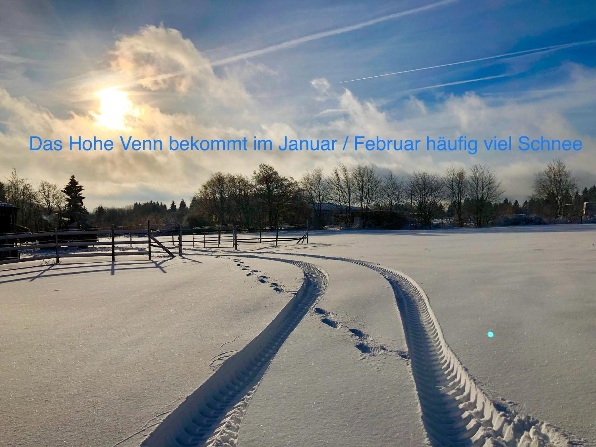 Hof Vierzehnender Im Hohen Venn - 70Qm Maisonette - 2 Schlafzimmer - Wohnkueche - Balkon Mit Grill - Monschau - Eifel - Hunde Willkommen - Islandpferde Eksteriør bilde